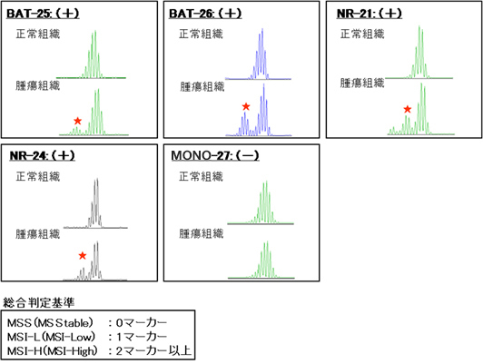 解析結果例（Bethesdaマーカー使用）