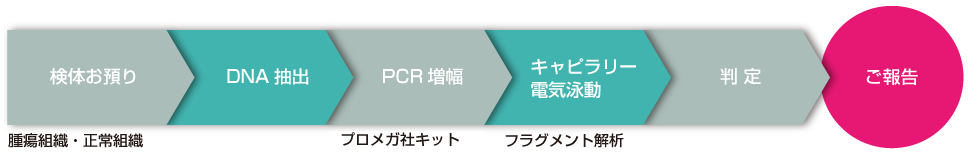 解析結果例（Bethesdaマーカー使用）