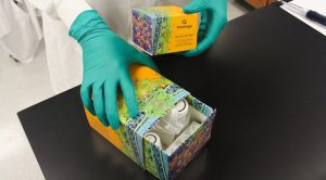 Gloved hands holding updated kit boxes with Goodsell imagery and made of sustainably forested materials.  Appears in 2018 Corporate Responsibility Report.