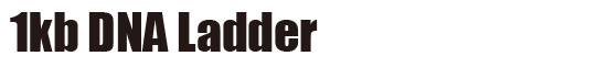 1kb DNA Ladder