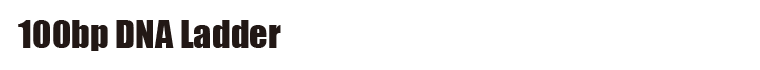 100bp DNA Ladder