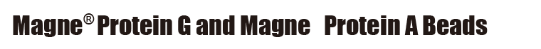 Magne Protein G and Magne Protein A Beads