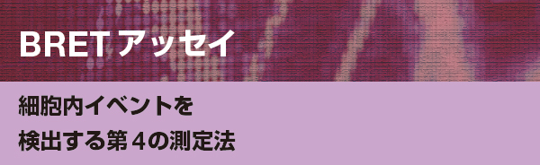 BRET アッセイ 細胞内イベントを検出する第4の測定法