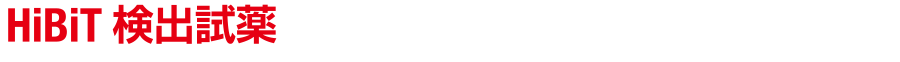 HiBiT検出試薬
