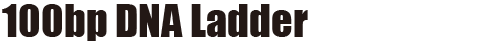 100bp DNA Ladder