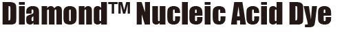 Diamond™ Nucleic Acid Dye