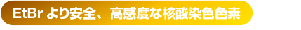 EtBr より安全、高感度な核酸染色色素