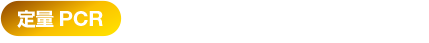 定量PCR